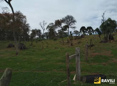 Área Rural em General Carneiro PR para Venda, 
