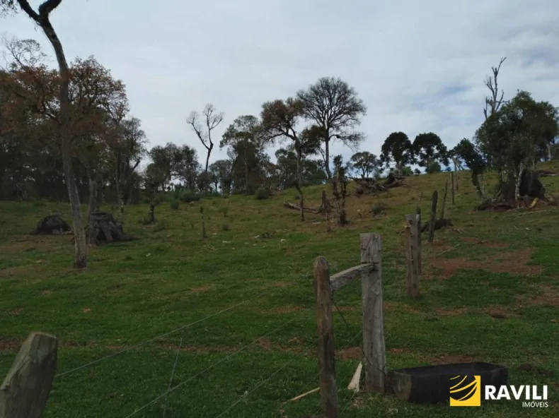 Área Rural em General Carneiro PR para Venda, 