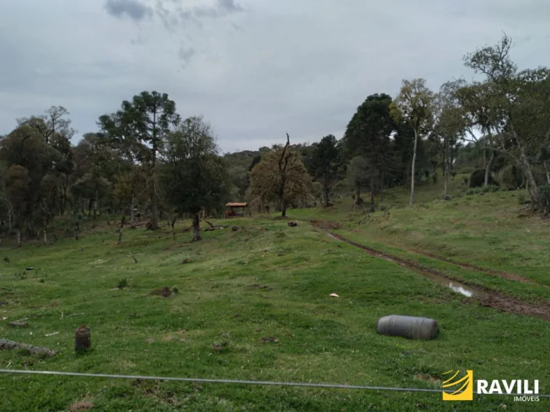Área Rural em General Carneiro PR para Venda, 
