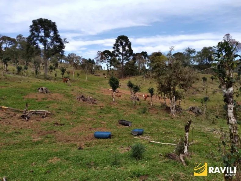 Área Rural em General Carneiro PR para Venda, 