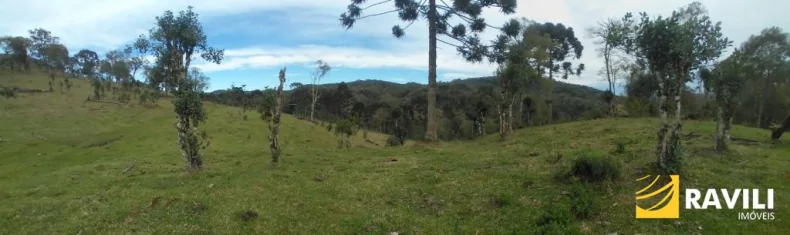 Área Rural em General Carneiro PR para Venda, 