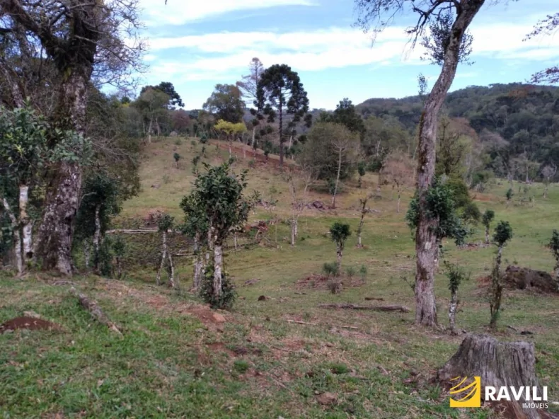 Área Rural em General Carneiro PR para Venda, 