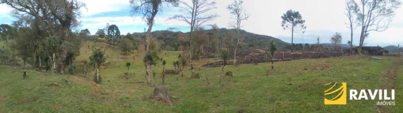 Área Rural em General Carneiro PR para Venda, 