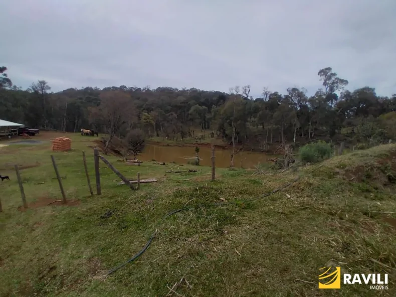 Área Rural em General Carneiro PR para Venda, 