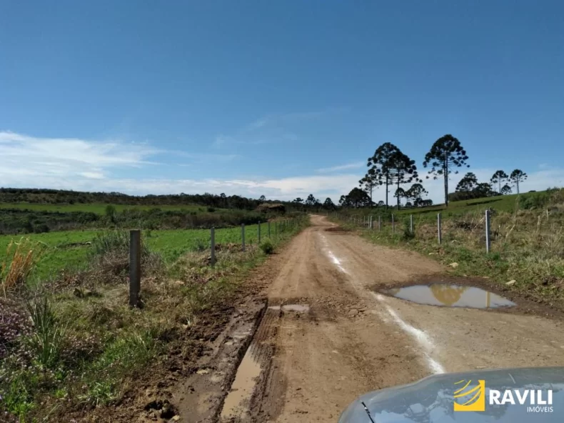 Área Rural 428 Alqueires em General Carneiro Divisa com Palmas!