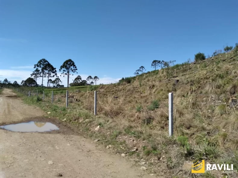 Área Rural 428 Alqueires em General Carneiro Divisa com Palmas!