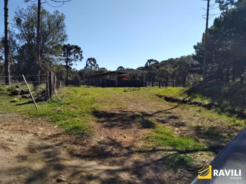 Área Rural 428 Alqueires em General Carneiro Divisa com Palmas!