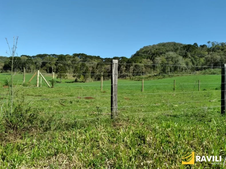 Área Rural 428 Alqueires em General Carneiro Divisa com Palmas!