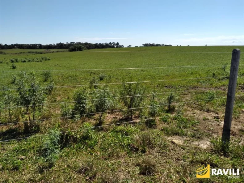 Área Rural 428 Alqueires em General Carneiro Divisa com Palmas!