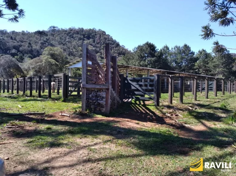 Área Rural 428 Alqueires em General Carneiro Divisa com Palmas!