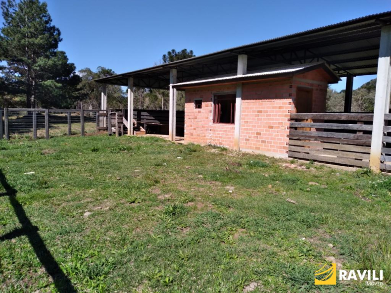 Área Rural 428 Alqueires em General Carneiro Divisa com Palmas!