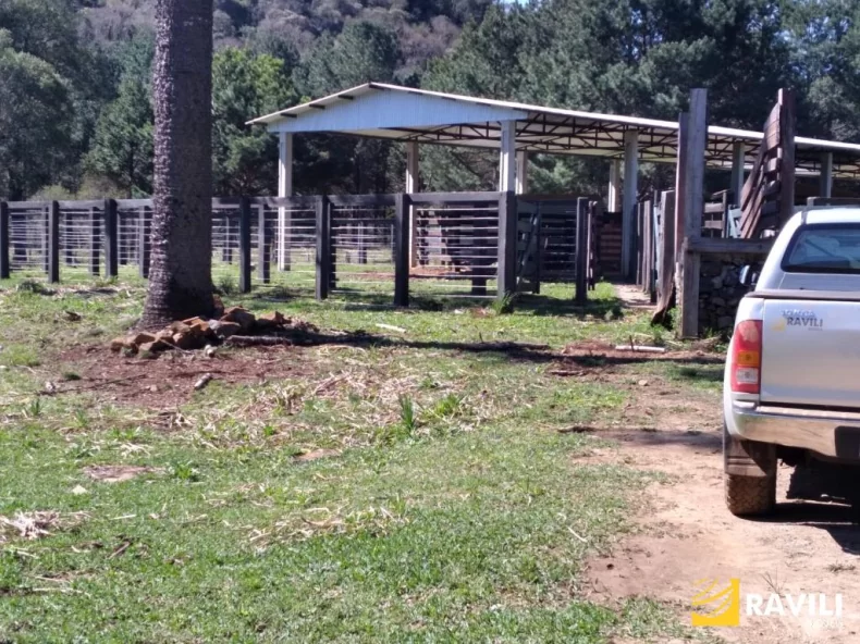 Área Rural 428 Alqueires em General Carneiro Divisa com Palmas!