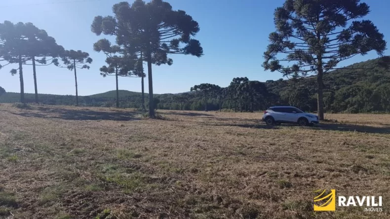 Área Rural à Venda em Ponte Serrada-SC!
