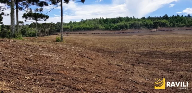 Área Rural à Venda em Ponte Serrada-SC!