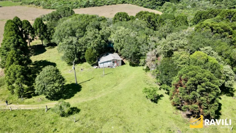 Área Rural à Venda em Ponte Serrada-SC!