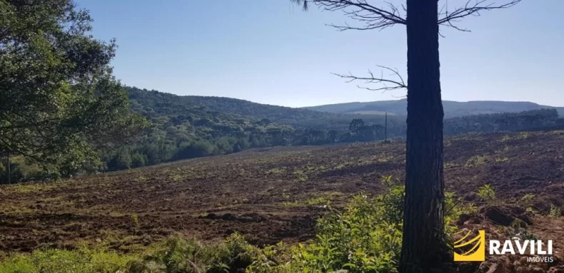 Área Rural à Venda em Ponte Serrada-SC!