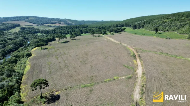 Área Rural à Venda em Ponte Serrada-SC!