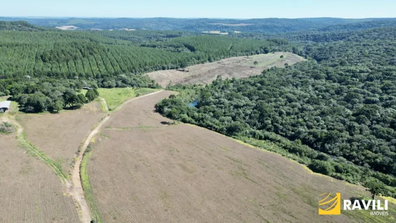 Área Rural à Venda em Ponte Serrada-SC!