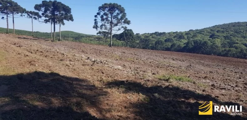 Área Rural à Venda em Ponte Serrada-SC!