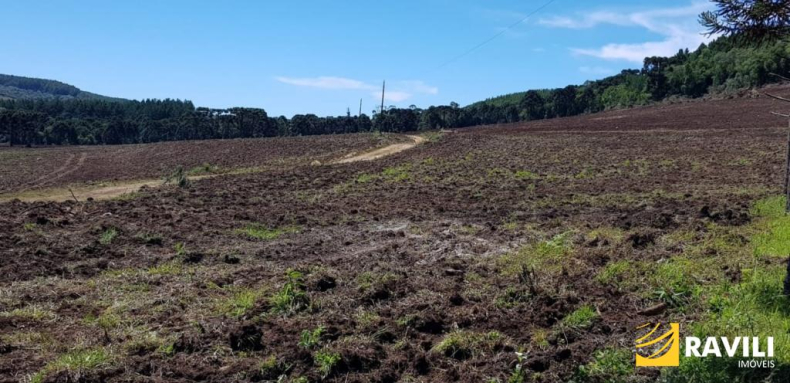 Área Rural à Venda em Ponte Serrada-SC!