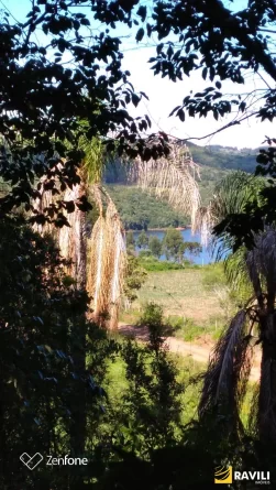 Terreno em Frente ao Lago da Hidrelétrica (Celso Ramos - SC) 