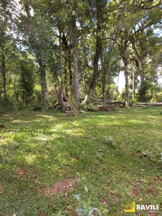 Fazenda com 120 Alqueires pra Venda em Água Doce.