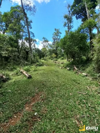 Fazenda com 120 Alqueires pra Venda em Água Doce.