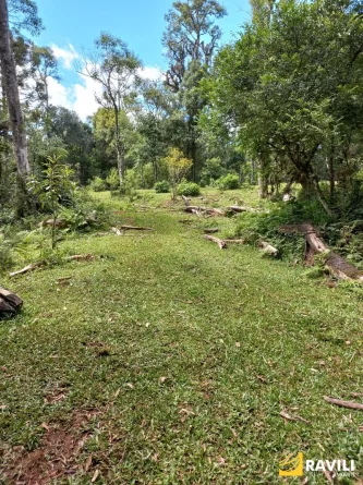 Fazenda com 120 Alqueires pra Venda em Água Doce.