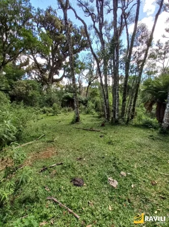 Fazenda com 120 Alqueires pra Venda em Água Doce.