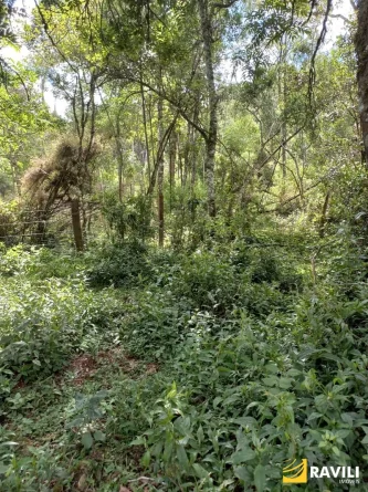 Fazenda com 120 Alqueires pra Venda em Água Doce.