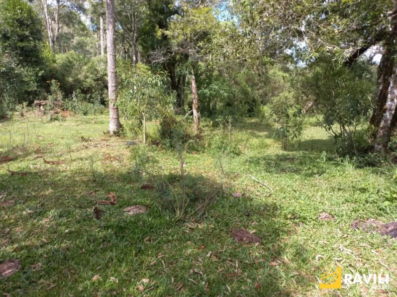 Fazenda com 120 Alqueires pra Venda em Água Doce.