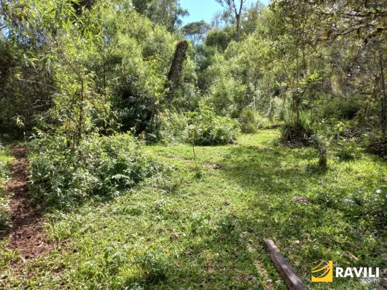 Fazenda com 120 Alqueires pra Venda em Água Doce.