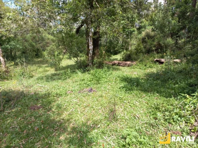 Fazenda com 120 Alqueires pra Venda em Água Doce.
