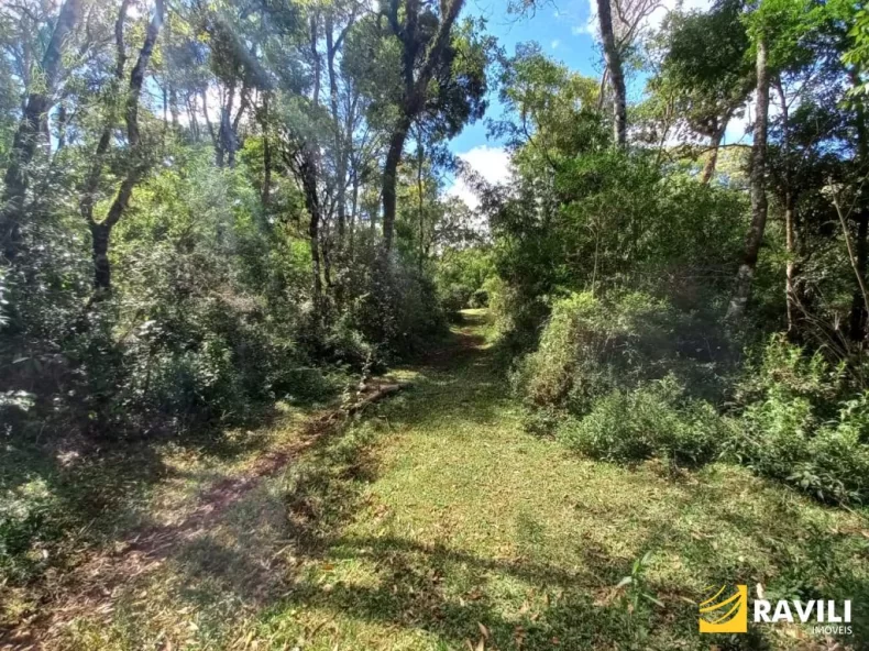 Fazenda com 120 Alqueires pra Venda em Água Doce.