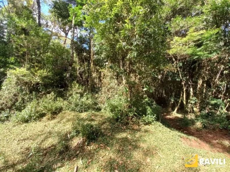 Fazenda com 120 Alqueires pra Venda em Água Doce.