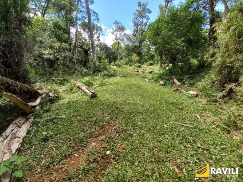 Fazenda com 120 Alqueires pra Venda em Água Doce.