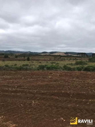 Fazenda com 350 Alqueires à Venda em General Carneiro!