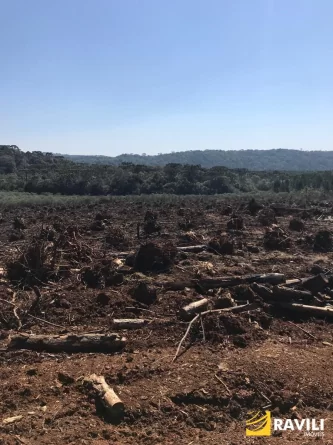 Fazenda com 350 Alqueires à Venda em General Carneiro!