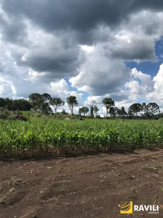 Fazenda com 350 Alqueires à Venda em General Carneiro!