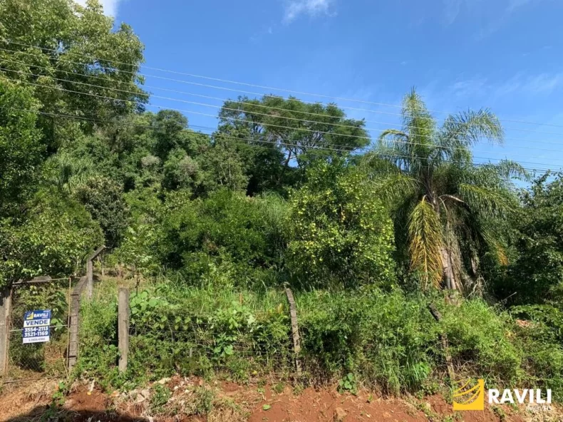 Terreno Bairro São Vicente