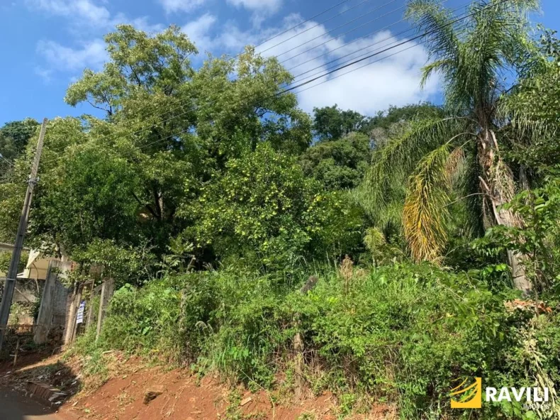 Terreno Bairro São Vicente