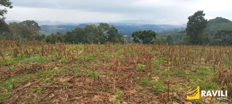 Terreno em Frente Distrito Industrial de Joaçaba com 62 mil metros