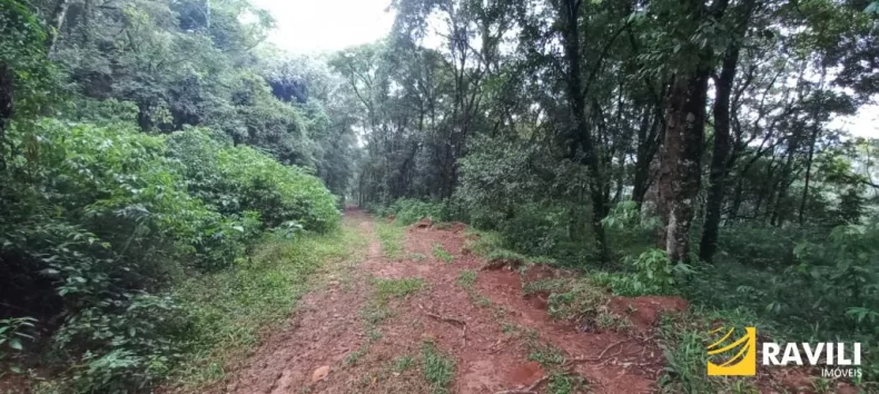 Terreno em Frente Distrito Industrial de Joaçaba com 62 mil metros