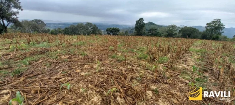 Terreno em Frente Distrito Industrial de Joaçaba com 62 mil metros