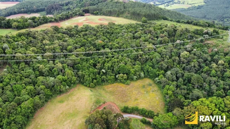 Sitio para venda na Linha Turra em Luzerna SC