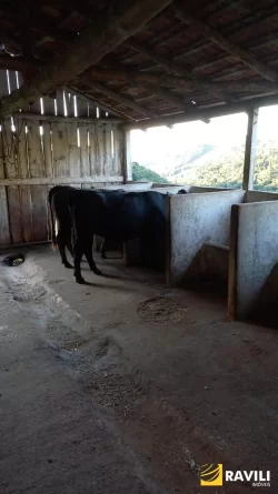 Sitio à Venda na Linha Celso Ramos Interior de Joaçaba.
