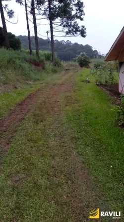 Sitio à Venda na Linha Celso Ramos Interior de Joaçaba.