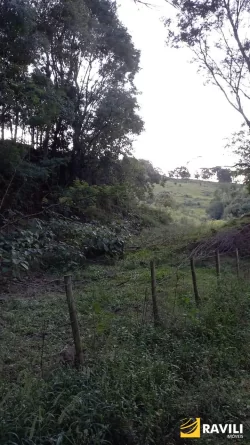Sitio à Venda na Linha Celso Ramos Interior de Joaçaba.
