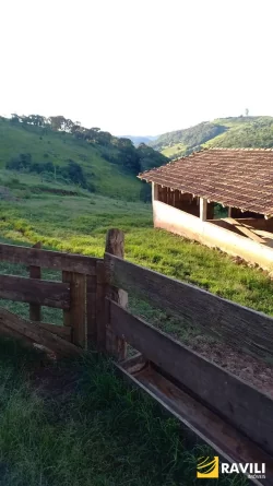 Sitio à Venda na Linha Celso Ramos Interior de Joaçaba.