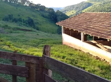 Sitio à Venda na Linha Celso Ramos Interior de Joaçaba.